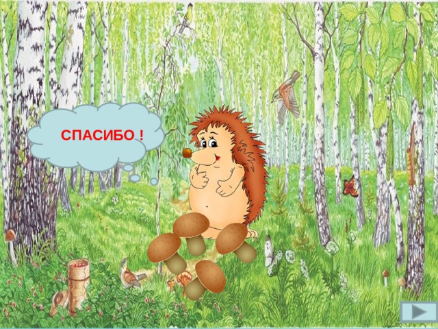 СПАСИБО !