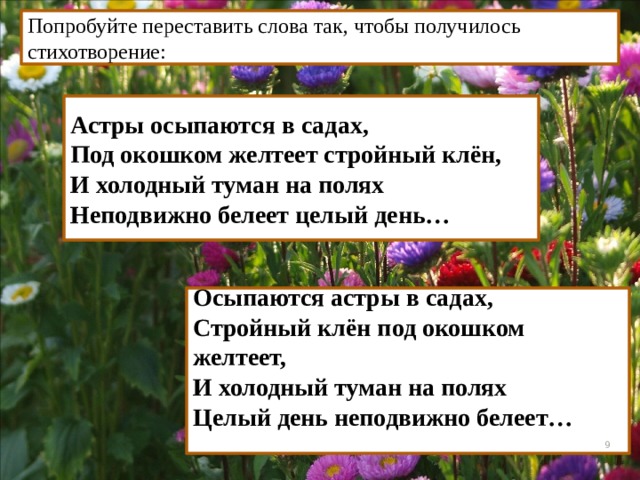 Схема предложения эти букеты цветов не вянут а их жесткие лепестки не осыпаются