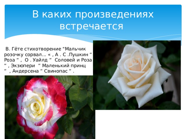 В каких произведениях встречается  В. Гёте стихотворение 
