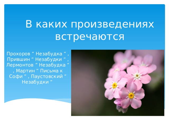В каких произведениях встречаются Прохоров “ Незабудка “ , Прившин “ Незабудки “ , Лермонтов “ Незабудка “ , Мартин “ Письма к Софи “ , Паустовский “ Незабудки “ 