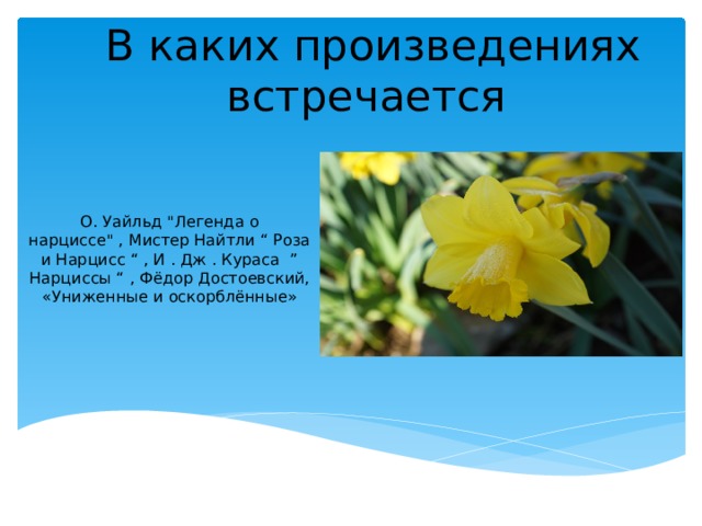 В каких произведениях встречается О. Уайльд 