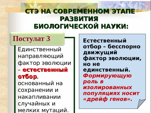 СТЭ НА СОВРЕМЕННОМ ЭТАПЕ РАЗВИТИЯ  БИОЛОГИЧЕСКОЙ НАУКИ: Постулат 3 Естественный отбор – бесспорно движущий фактор эволюции, но не единственный.  Формирующую роль в изолированных популяциях носит «дрейф генов». Единственный направляющий фактор эволюции – естественный отбор , основанный на сохранении и накапливании случайных и мелких мутаций. 