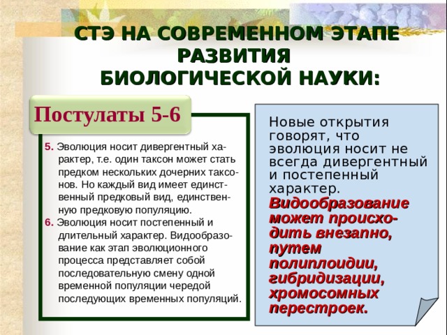СТЭ НА СОВРЕМЕННОМ ЭТАПЕ РАЗВИТИЯ  БИОЛОГИЧЕСКОЙ НАУКИ: Постулаты 5-6 Новые открытия говорят, что эволюция носит не всегда дивергентный и постепенный характер.  Видообразование может происхо-дить внезапно, путем полиплоидии, гибридизации, хромосомных перестроек.   5.  Эволюция носит дивергентный ха-рактер, т.е. один таксон может стать предком нескольких дочерних таксо-нов. Но каждый вид имеет единст-венный предковый вид, единствен-ную предковую популяцию. 6.  Эволюция носит постепенный и длительный характер. Видообразо-вание как этап эволюционного процесса представляет собой последовательную смену одной временной популяции чередой последующих временных популяций. 