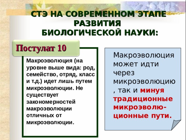 Современная теория эволюции презентация