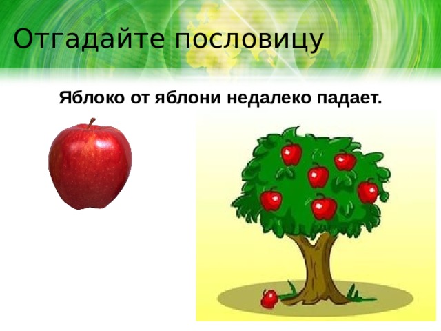 Яблоня от яблони далеко не падает. Пословица яблоко от яблони недалеко падает. Поговорка яблоко от яблони недалеко падает. Мнемодорожка яблоко от яблони недалеко падает. Пословица яблоко от яблони.