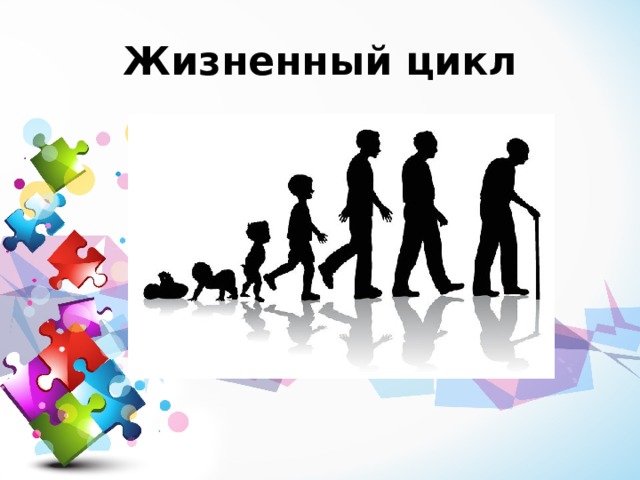 Жизненные ценности современного поколения проект "Ценности человеческой жизни"