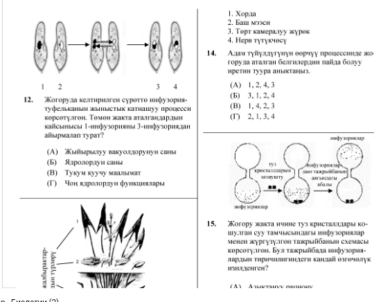 Пиза тест 5 класс