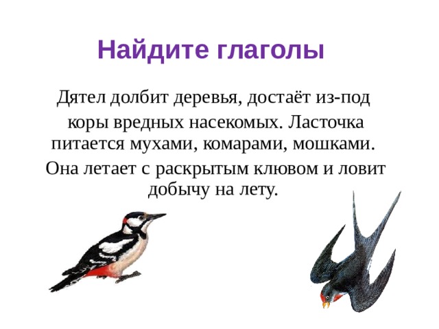 Дятел разбор. Дятел долбит. Ласточка питается мухами комарами. Дятел и Ласточка. Дятел долбит деревья достает из под коры вредных насекомых.