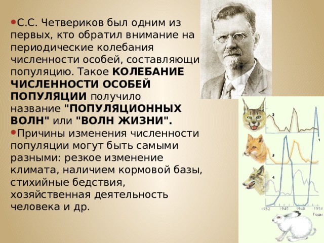 С.С. Четвериков был одним из первых, кто обратил внимание на периодические колебания численности особей, составляющих популяцию. Такое  КОЛЕБАНИЕ ЧИСЛЕННОСТИ ОСОБЕЙ ПОПУЛЯЦИИ  получило название  