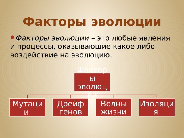Факторы эволюции Факторы эволюции – это любые явления и процессы, оказывающие какое либо воздействие на эволюцию. Факторы эволюции Дрейф генов Волны жизни Изоляция Мутации 