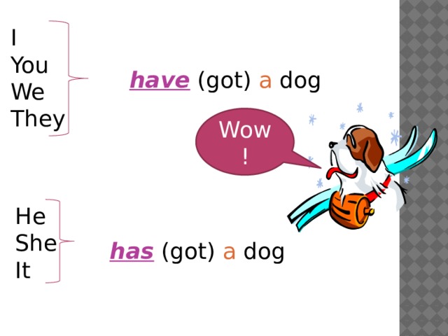 I You We They have  (got) a dog Wow! He She It has (got) a dog 