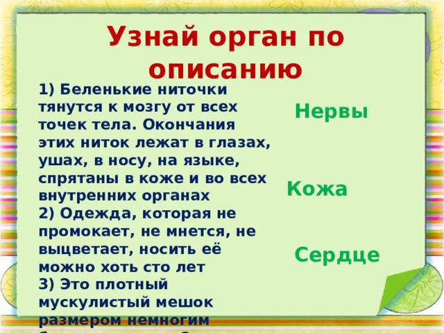 Узнай орган по описанию 1) Беленькие ниточки тянутся к мозгу от всех точек тела. Окончания этих ниток лежат в глазах, ушах, в носу, на языке, спрятаны в коже и во всех внутренних органах 2) Одежда, которая не промокает, не мнется, не выцветает, носить её можно хоть сто лет 3) Это плотный мускулистый мешок размером немногим больше кулака. Этот «мешок» все время сжимается и разжимается, не останавливаясь ни на минуту Нервы Кожа Сердце 