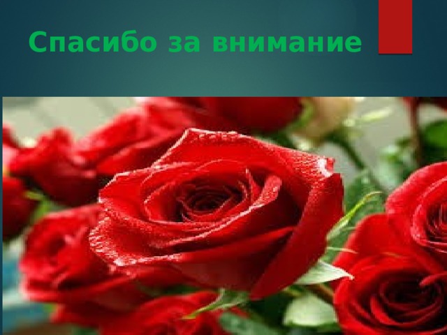 Спасибо за внимание 