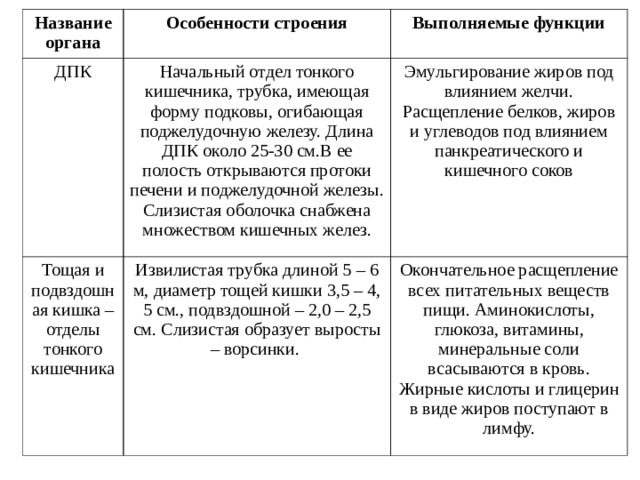 Характер тонкий толстый длина отделы особенности строения стенки