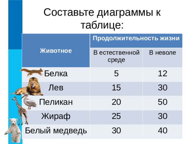 Средняя продолжительность жизни домашних животных диаграмма