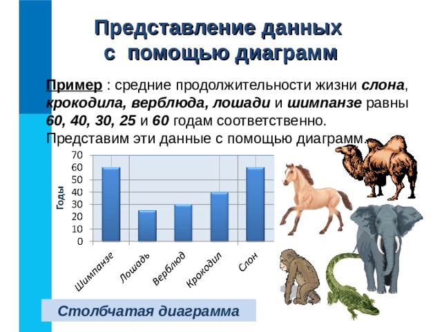 Представление данных  с помощью диаграмм Пример : средние продолжительности жизни слона , крокодила, верблюда, лошади и шимпанзе равны 60, 40, 30, 25 и 60 годам соответственно. Представим эти данные с помощью диаграмм. Столбчатая диаграмма 