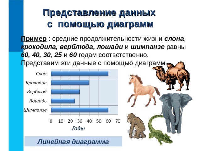 Представление данных  с помощью диаграмм Пример : средние продолжительности жизни слона , крокодила, верблюда, лошади и шимпанзе равны 60, 40, 30, 25 и 60 годам соответственно. Представим эти данные с помощью диаграмм. Линейная диаграмма 