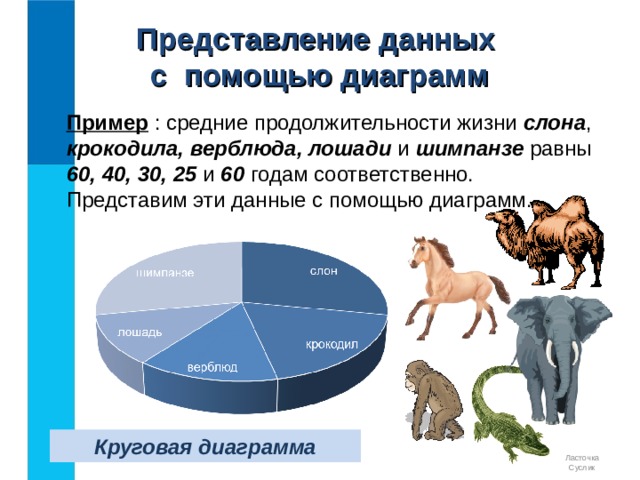 Представление данных  с помощью диаграмм Пример : средние продолжительности жизни слона , крокодила, верблюда, лошади и шимпанзе равны 60, 40, 30, 25 и 60 годам соответственно. Представим эти данные с помощью диаграмм. Линейная диаграмма Круговая диаграмма Ласточка Суслик 