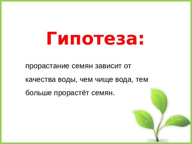      Гипотеза:      прорастание семян зависит от качества воды, чем чище вода, тем больше прорастёт семян . 