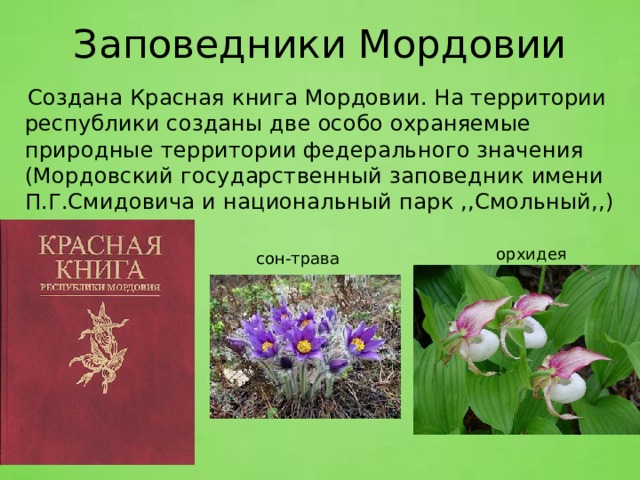 В каком словаре можно узнать описание и изображения животных и растений