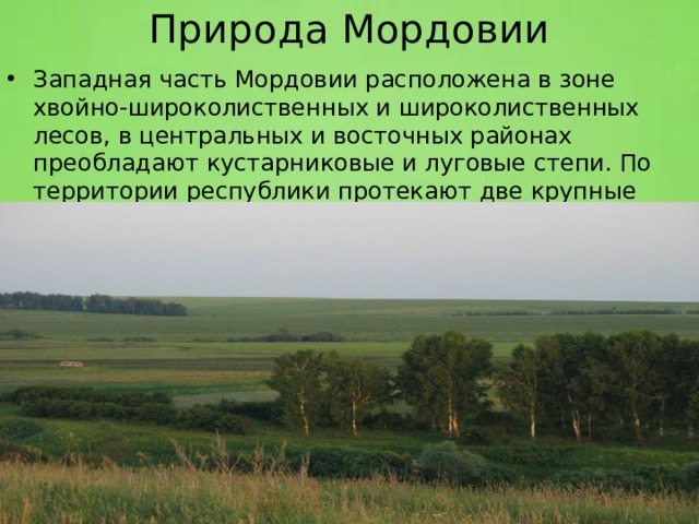 Природные зоны мордовии презентация