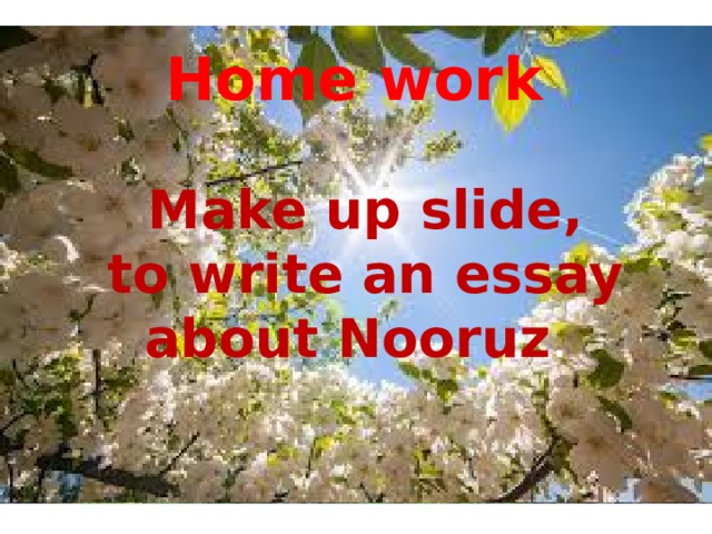 Home work  Make up slide,  to write an essay about Nooruz . 