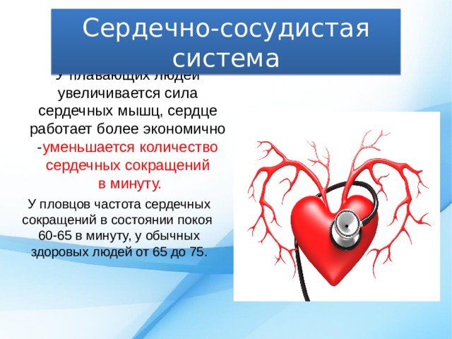 Деятельность сердечно сосудистой системы. Влияние плавания на сердечно-сосудистую систему. Нагрузка на сердечно-сосудистую систему. Влияние на кровеносную систему. Сердечно-сосудистая система и мышцы.