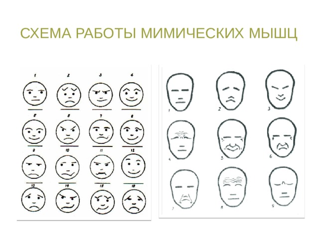 Схема работы мимических мышц Мы с вами выяснили названия всех мышц лица и сейчас на доске Вам представлены схематичные изображения эмоций которые появляются при сокращение лицевых мышц.  