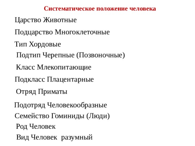 Систематическое положение человека Царство Животные Подцарство Многоклеточные Тип Хордовые Подтип Черепные (Позвоночные) Класс Млекопитающие Подкласс Плацентарные Отряд Приматы Подотряд Человекообразные Семейство Гоминиды (Люди) Род Человек Вид Человек разумный 