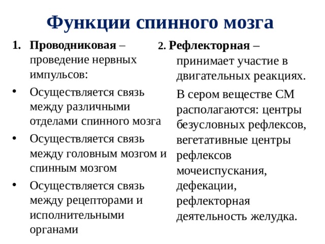 Функции спинного мозга 2. Рефлекторная – принимает участие в двигательных реакциях.  В сером веществе СМ располагаются: центры безусловных рефлексов, вегетативные центры рефлексов мочеиспускания, дефекации, рефлекторная деятельность желудка. Проводниковая – проведение нервных импульсов: Осуществляется связь между различными отделами спинного мозга Осуществляется связь между головным мозгом и спинным мозгом Осуществляется связь между рецепторами и исполнительными органами  