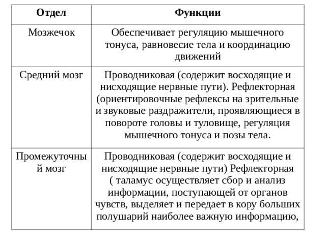 Отдел Функции Мозжечок Средний мозг Обеспечивает регуляцию мышечного тонуса, равновесие тела и координацию движений Промежуточный мозг Проводниковая (содержит восходящие и нисходящие нервные пути). Рефлекторная (ориентировочные рефлексы на зрительные и звуковые раздражители, проявляющиеся в повороте головы и туловище, регуляция мышечного тонуса и позы тела. Проводниковая (содержит восходящие и нисходящие нервные пути) Рефлекторная ( таламус осуществляет сбор и анализ информации, поступающей от органов чувств, выделяет и передает в кору больших полушарий наиболее важную информацию, 