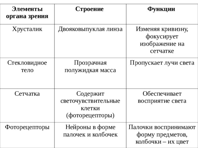 Элементы органа зрения Строение Хрусталик Двояковыпуклая линза Стекловидное тело Функции Прозрачная полужидкая масса Сетчатка Изменяя кривизну, фокусирует изображение на сетчатке Содержит светочувствительные клетки (фоторецепторы) Пропускает лучи света Фоторецепторы Обеспечивает восприятие света Нейроны в форме палочек и колбочек Палочки воспринимают форму предметов, колбочки – их цвет 