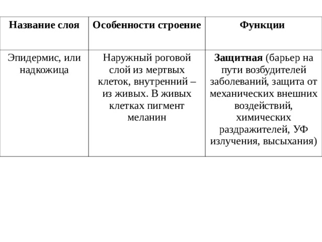 Название слоя Особенности строение Эпидермис, или надкожица Функции Наружный роговой слой из мертвых клеток, внутренний – из живых. В живых клетках пигмент меланин Защитная (барьер на пути возбудителей заболеваний, защита от механических внешних воздействий, химических раздражителей, УФ излучения, высыхания) 