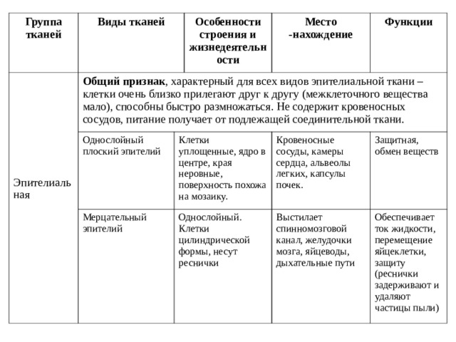 Группы тканей. Общие признаки характерные для всех видов эпителиальной ткани. Виды тканей биология 8 класс. Эпителиальная ткань характеристика таблица 8 класс биология. Характеристика эпителиальных тканей таблица.