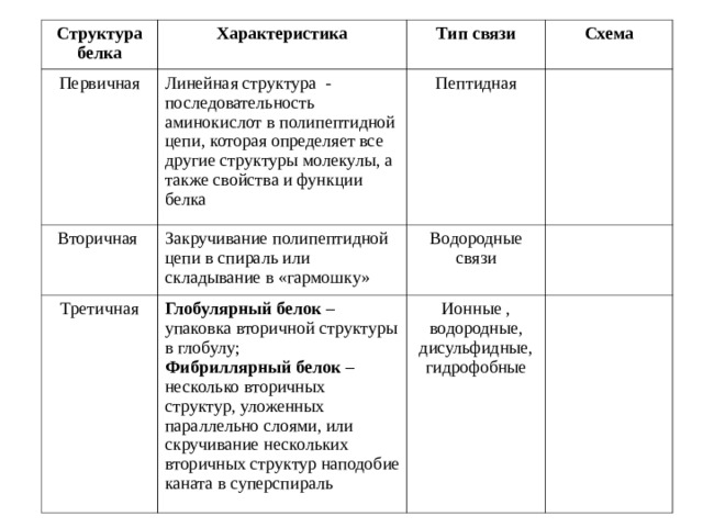 Структура белка Характеристика Первичная Линейная структура - последовательность аминокислот в полипептидной цепи, которая определяет все другие структуры молекулы, а также свойства и функции белка Вторичная Тип связи Закручивание полипептидной цепи в спираль или складывание в «гармошку» Схема Пептидная Третичная Водородные связи Глобулярный белок – упаковка вторичной структуры в глобулу; Фибриллярный белок – несколько вторичных структур, уложенных параллельно слоями, или скручивание нескольких вторичных структур наподобие каната в суперспираль Ионные , водородные, дисульфидные, гидрофобные 