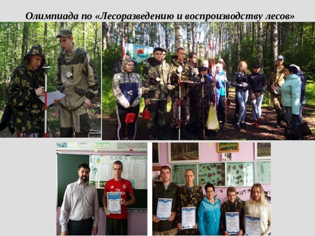 Олимпиада по «Лесоразведению и воспроизводству лесов»   