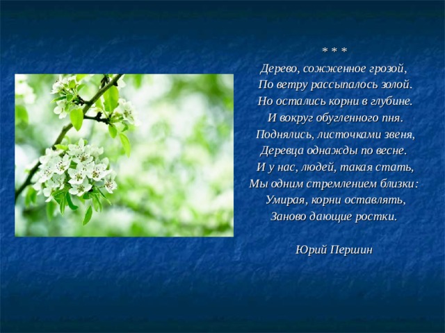 * * * Дерево, сожженное грозой, По ветру рассыпалось золой. Но остались корни в глубине. И вокруг обугленного пня. Поднялись, листочками звеня, Деревца однажды по весне. И у нас, людей, такая стать, Мы одним стремлением близки: Умирая, корни оставлять, Заново дающие ростки.  Юрий Першин 