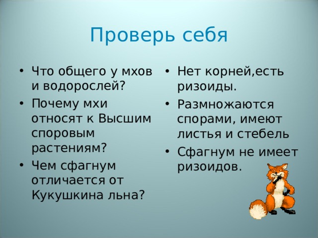 Проверь себя Что общего у мхов и водорослей? Почему мхи относят к Высшим споровым растениям? Чем сфагнум отличается от Кукушкина льна? Нет корней,есть ризоиды. Размножаются спорами, имеют листья и стебель Сфагнум не имеет ризоидов. 