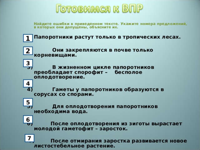  Найдите ошибки в приведенном тексте. Укажите номера предложений, в которых они допущены, объясните их. Папоротники растут только в тропических лесах.  2) Они закрепляются в почве только корневищами. 3) В жизненном цикле папоротников преобладает спорофит – бесполое оплодотворение. 4) Гаметы у папоротников образуются в сорусах со спорами. 5) Для оплодотворения папоротников необходима вода. 6) После оплодотворения из зиготы вырастает молодой гаметофит – заросток.   7) После отмирания заростка развивается новое листостебельное растение. 1 2 3 4 5 6 7 