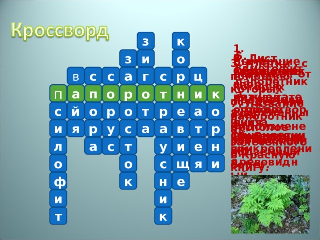 з к 1. Вымершие растения, от которых произошли современные папоротники. 5. Гаметофит папоротника. и з о 2. Лист папоротника. 4. Скопление спор на нижней стороне листа. 6. Образуется в результате оплодотворения яйцеклетки. 3. Клетки , с помощью которых осуществляется бесполое размножение. ц с р с в г а с а п п т о р к и н о 7. Название папоротника, занесенного в Красную книгу. е а о р с й о р о т 8. Видоизмененный подземный побег. 9. Современный древовидный папоротник. и р т в р а у я с а 10. Органы прикрепления. а с т н у л е и я с о о и щ к е ф н и и к т 