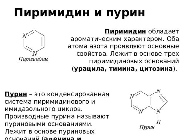 Пиримидин