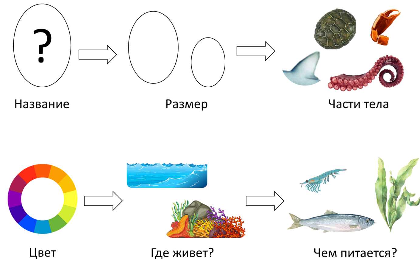 Рыбы и морские животные задания для дошкольников. Схема составления рассказа о рыбе. Схема описания рыбы дошкольниками. Схема рассказа о рыбах для дошкольников. Живой мир морей и океанов подготовительная