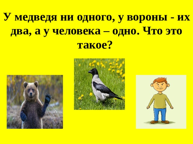 У медведя ни одного, у вороны - их два, а у человека – одно. Что это такое?       