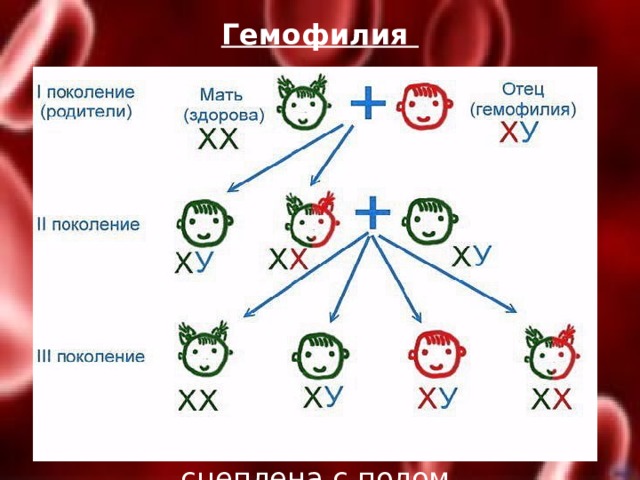 Замуж за здорового. Гемофилия у детей этиология. Гемофилия у детей эпидемиология. Гемофилия а схема свертывания.