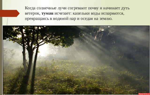 Когда солнечные лучи согревают почву и начинает дуть ветерок, туман исчезает: капельки воды испаряются, превращаясь в водяной пар и оседая на землю. 