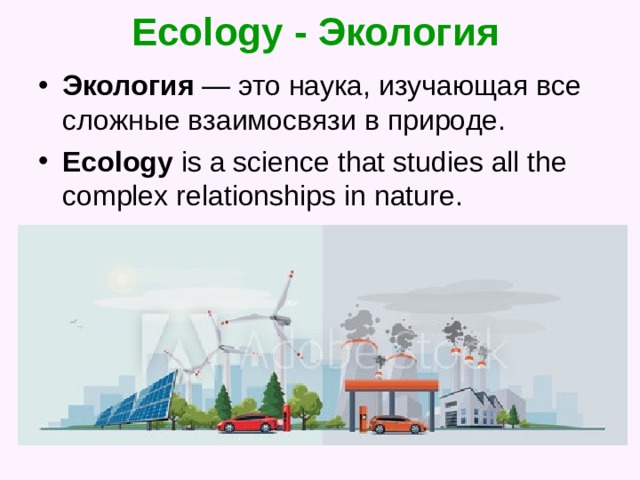 Ecology - Экология  Экология — это наука, изучающая все сложные взаимосвязи в природе. Ecology is a science that studies all the complex relationships in nature. 
