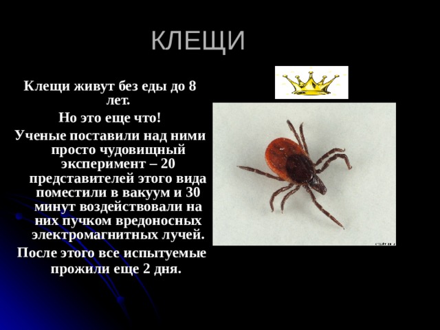 КЛЕЩИ Клещи живут без еды до 8 лет.  Но это еще что! Ученые поставили над ними просто чудовищный эксперимент – 20 представителей этого вида поместили в вакуум и 30 минут воздействовали на них пучком вредоносных электромагнитных лучей.  После этого все испытуемые прожили еще 2 дня.  