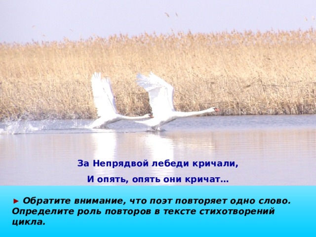 За Непрядвой лебеди кричали, И опять, опять они кричат… ► Обратите внимание, что поэт повторяет одно слово. Определите роль повторов в тексте стихотворений цикла. 10 