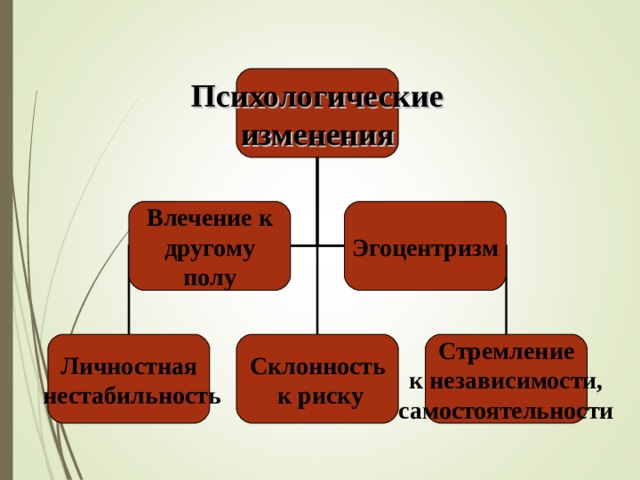 Психологические изменения Влечение к другому полу Эгоцентризм Личностная  нестабильность Склонность  к риску Стремление к независимости, самостоятельности 