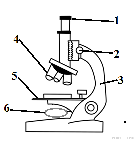 Какая часть цифрового микроскопа обозначена буквой а. Рисунок с подписямидетаоей цифрового микроскопа. Детали микроскопа рисунок. Устройство цифрового микроскопа. Деталь микроскопа на букву а.
